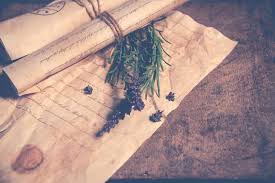 The History and Uses of Lavender