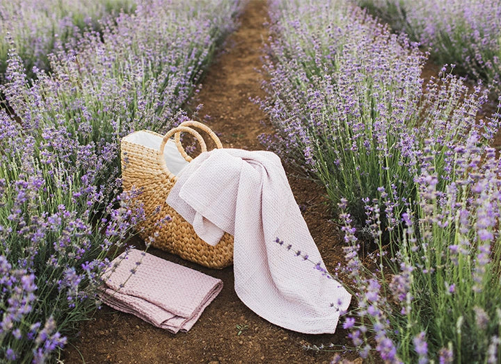 Lavender Essential Oil 15ml
